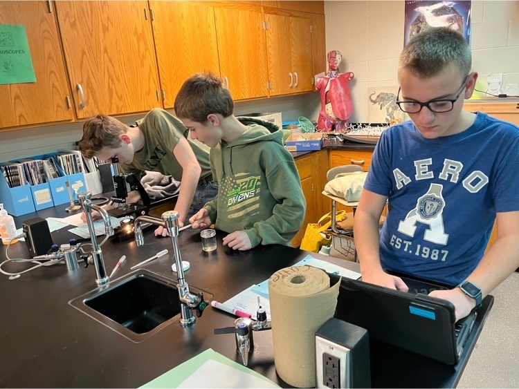 9th grade bio students conduct lab experiment 