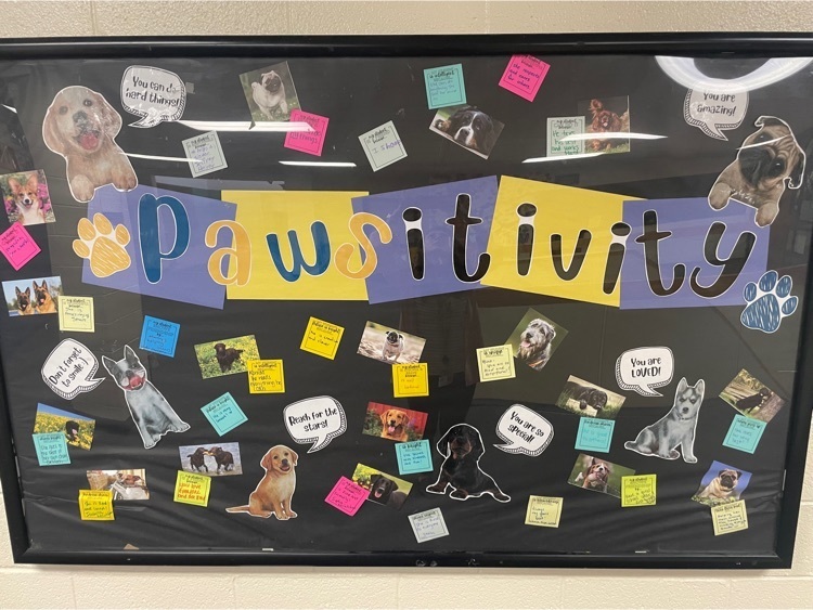 dogs and positive messages on a bulletin board labeled PAWSitivity 