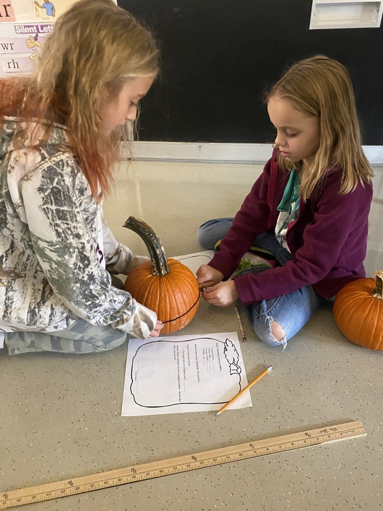 Measuring the inches around the pumpkin