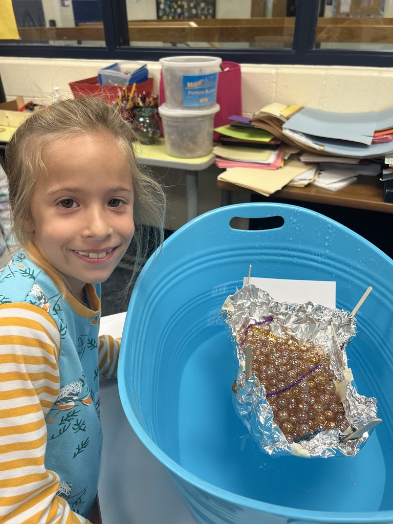 Stem Challenge